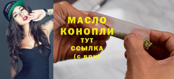 соль ск Михайлов