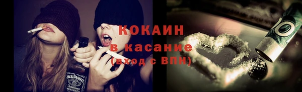 соль ск Михайлов